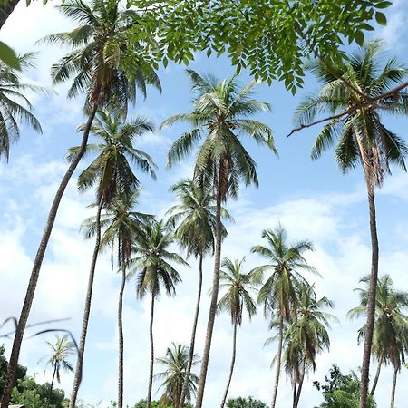Centre Touristique Et Culturel Casamance Casa de hóspedes Diakene Ouolof Exterior foto