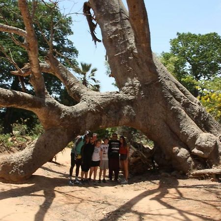 Centre Touristique Et Culturel Casamance Casa de hóspedes Diakene Ouolof Exterior foto