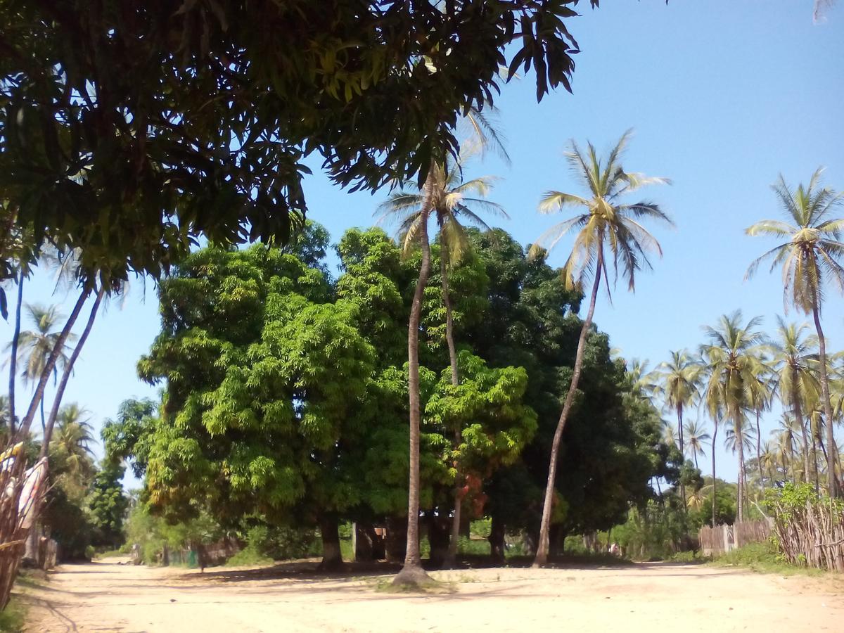 Centre Touristique Et Culturel Casamance Casa de hóspedes Diakene Ouolof Exterior foto